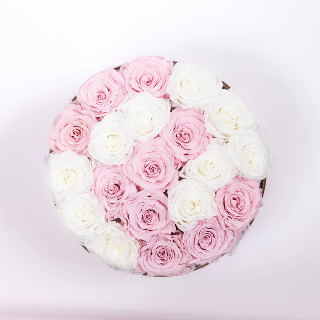 Jardin éternel - Roses blanc et rose