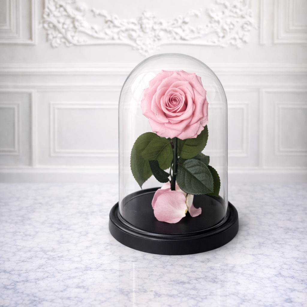The Cute Pink Girl - Eternal Dome