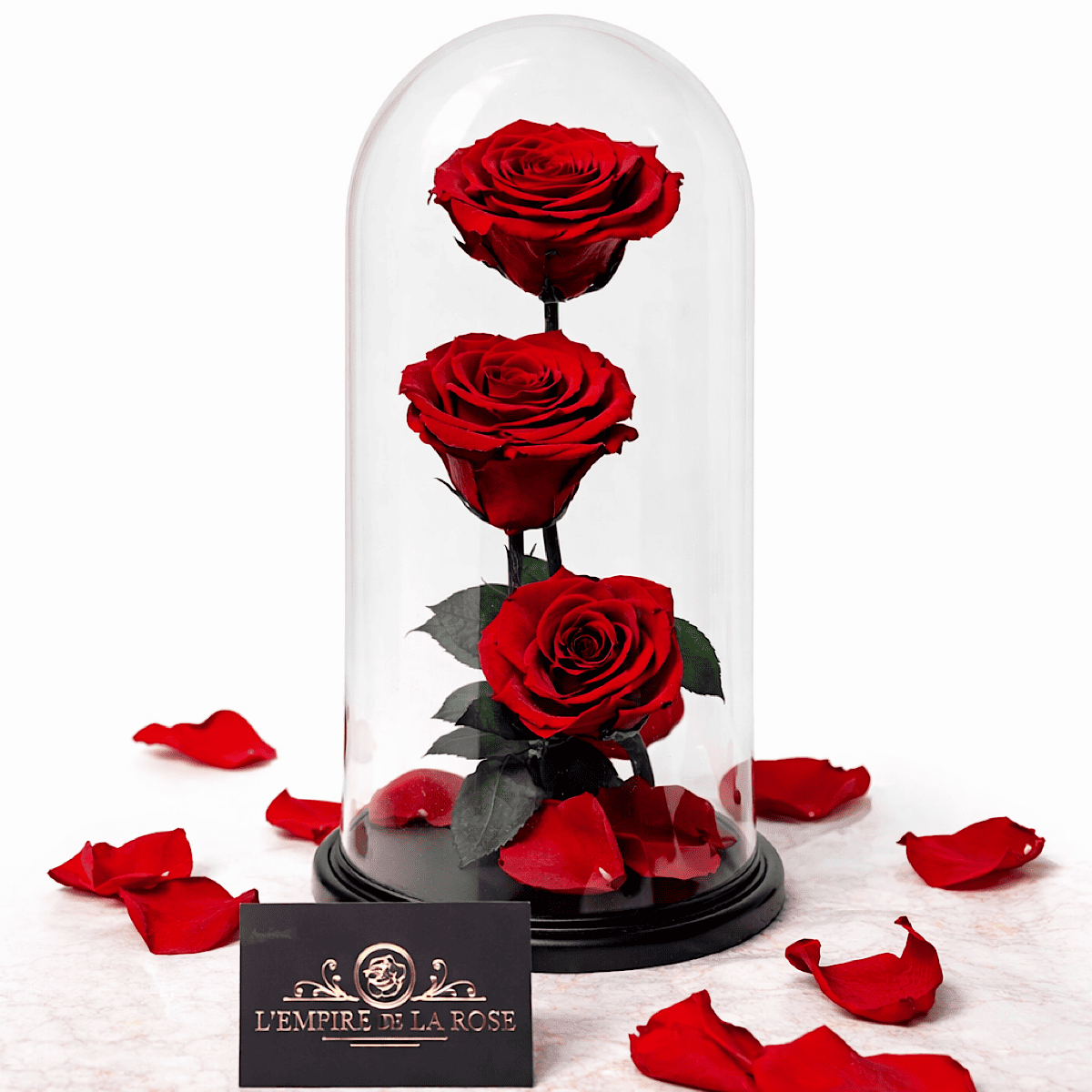 La Royale - Dôme Éternel